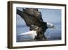 American Bald Eagle Fishing-null-Framed Photographic Print