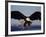 American Bald Eagle in Flight-Lynn M^ Stone-Framed Photographic Print