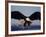 American Bald Eagle in Flight-Lynn M^ Stone-Framed Photographic Print