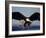 American Bald Eagle in Flight-Lynn M^ Stone-Framed Photographic Print