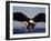 American Bald Eagle in Flight-Lynn M^ Stone-Framed Photographic Print