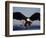 American Bald Eagle in Flight-Lynn M^ Stone-Framed Photographic Print