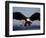 American Bald Eagle in Flight-Lynn M^ Stone-Framed Photographic Print