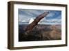 American Bald Eagle Mountains-null-Framed Art Print