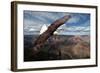 American Bald Eagle Mountains-null-Framed Art Print