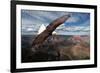 American Bald Eagle Mountains-null-Framed Art Print