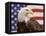 American Bald Eagle Portrait Against USA Flag-Lynn M^ Stone-Framed Stretched Canvas