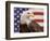 American Bald Eagle Portrait Against USA Flag-Lynn M^ Stone-Framed Premium Photographic Print