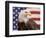 American Bald Eagle Portrait Against USA Flag-Lynn M^ Stone-Framed Premium Photographic Print