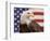 American Bald Eagle Portrait Against USA Flag-Lynn M^ Stone-Framed Premium Photographic Print