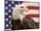 American Bald Eagle Portrait Against USA Flag-Lynn M^ Stone-Mounted Premium Photographic Print