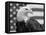 American Bald Eagle Portrait Against USA Flag-Lynn M. Stone-Framed Stretched Canvas