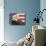 American Bald Eagle Portrait Against USA Flag-Lynn M^ Stone-Mounted Photographic Print displayed on a wall