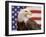 American Bald Eagle Portrait Against USA Flag-Lynn M^ Stone-Framed Photographic Print