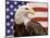 American Bald Eagle Portrait Against USA Flag-Lynn M^ Stone-Mounted Photographic Print