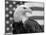 American Bald Eagle Portrait Against USA Flag-Lynn M. Stone-Mounted Photographic Print