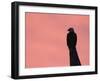 American Bald Eagle Silhouette at Sunrise, Alaska-Rolf Nussbaumer-Framed Photographic Print