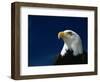 American Bald Eagle-Joseph Sohm-Framed Photographic Print