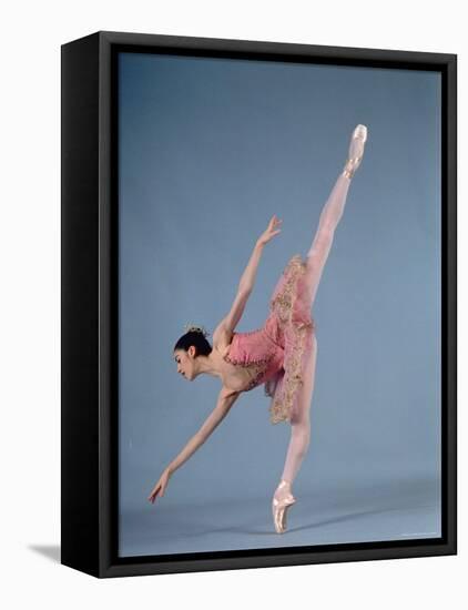 American Ballet Theater Ballerina Paloma Herrera in Graceful Move Ballet "Themes and Variations"-Ted Thai-Framed Stretched Canvas