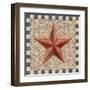 American Barn Star I-Paul Brent-Framed Art Print