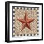 American Barn Star I-Paul Brent-Framed Art Print