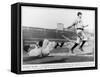American Baseball in 1910-null-Framed Stretched Canvas