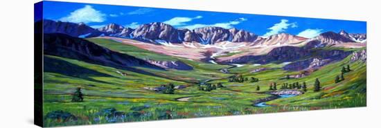 American Basin, Colorado-Patty Baker-Stretched Canvas