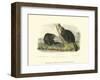 American Beaver-John James Audubon-Framed Art Print