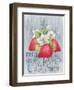 American Berries I-Elyse DeNeige-Framed Art Print