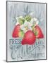 American Berries I-Elyse DeNeige-Mounted Art Print