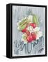 American Berries III-Elyse DeNeige-Framed Stretched Canvas