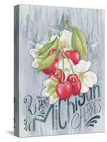 American Berries III-Elyse DeNeige-Stretched Canvas