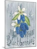 American Berries IV-Elyse DeNeige-Mounted Art Print