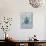American Berries IV-Elyse DeNeige-Mounted Art Print displayed on a wall