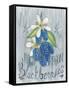 American Berries IV-Elyse DeNeige-Framed Stretched Canvas