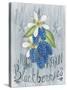 American Berries IV-Elyse DeNeige-Stretched Canvas