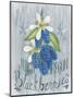 American Berries IV-Elyse DeNeige-Mounted Art Print