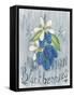 American Berries IV-Elyse DeNeige-Framed Stretched Canvas