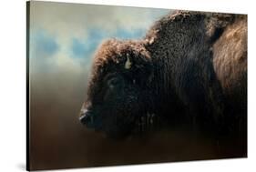 American Bison after the Storm-Jai Johnson-Stretched Canvas