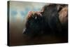 American Bison after the Storm-Jai Johnson-Stretched Canvas