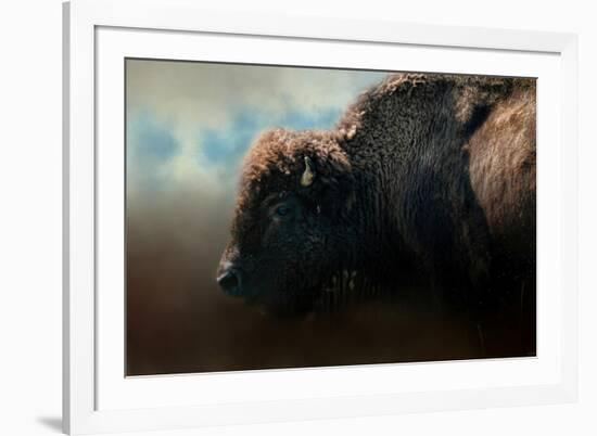 American Bison after the Storm-Jai Johnson-Framed Giclee Print