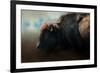 American Bison after the Storm-Jai Johnson-Framed Giclee Print