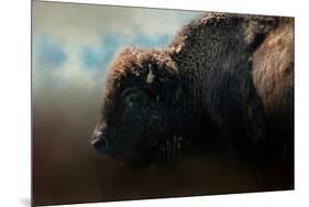 American Bison after the Storm-Jai Johnson-Mounted Giclee Print