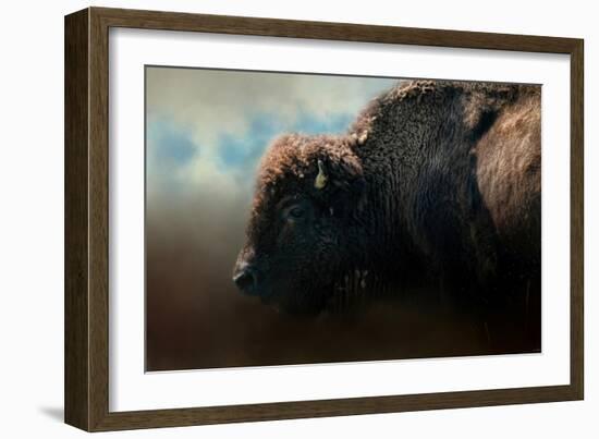 American Bison after the Storm-Jai Johnson-Framed Giclee Print