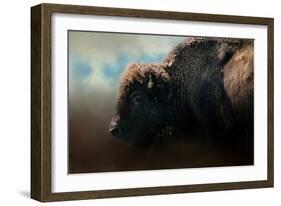 American Bison after the Storm-Jai Johnson-Framed Giclee Print