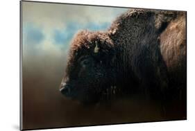 American Bison after the Storm-Jai Johnson-Mounted Giclee Print