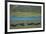 American bison at Lamar River, Lamar Valley, Yellowstone National Park, Wyoming, USA-Roddy Scheer-Framed Photographic Print