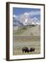 American Bison (Bison Bison)-Richard Maschmeyer-Framed Photographic Print