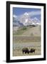 American Bison (Bison Bison)-Richard Maschmeyer-Framed Photographic Print