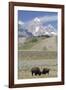 American Bison (Bison Bison)-Richard Maschmeyer-Framed Photographic Print